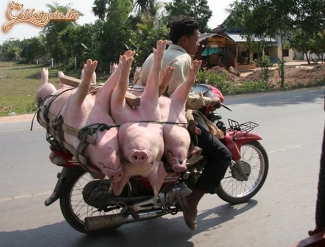 Nagy buli lesz, az fix