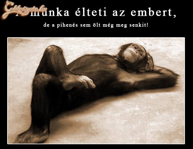 A munka éltet