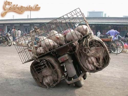 Jól dőlhet a kanyarban...