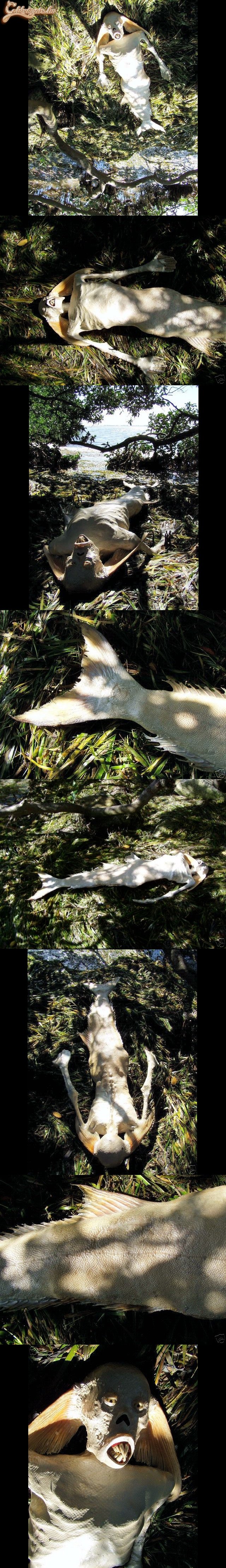 Kis hableány a parton