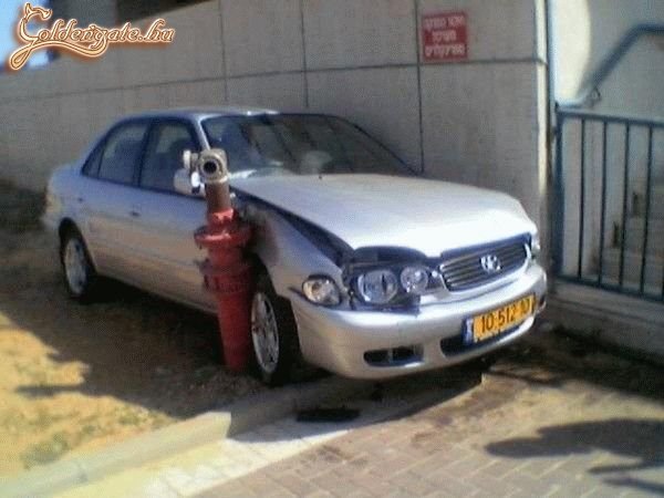 Megint egy profi sofőr