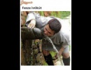 Fasza ivókút