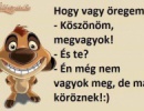 Kőrözés