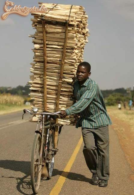 Jó a teherbírása!