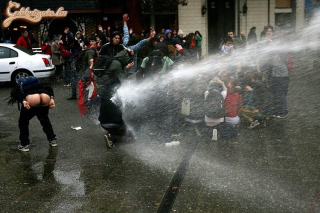 Túlélési ösztön