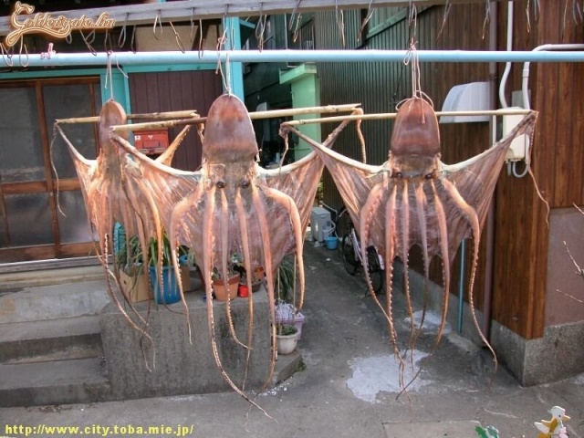 Mi lesz a vacsi, anyu? Nézz be a ház mögé, mindjárt készítem!