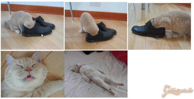 Mondj nemet a kábítószernek