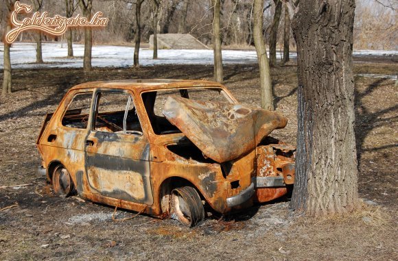 Látványosság az erdőben