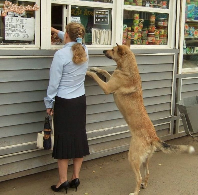 Ide egy felest nekem is!