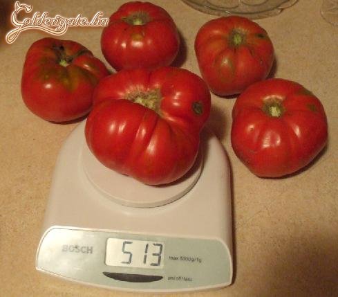 Szép az idei termés!