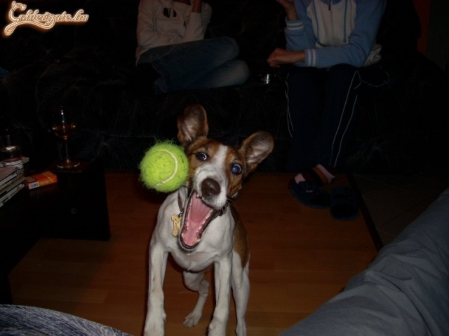 Hamm!