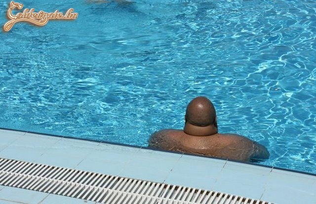 Érdekesen néz ki ebből a szögből...