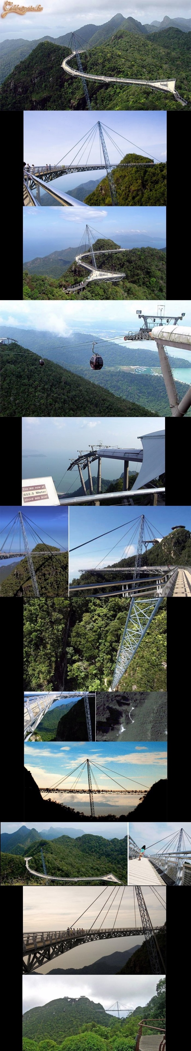 Egy oszlopos híd a malajziai őserdő felett , a tengerszint felett 687 méterrel