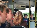 A legjobb fejkendő