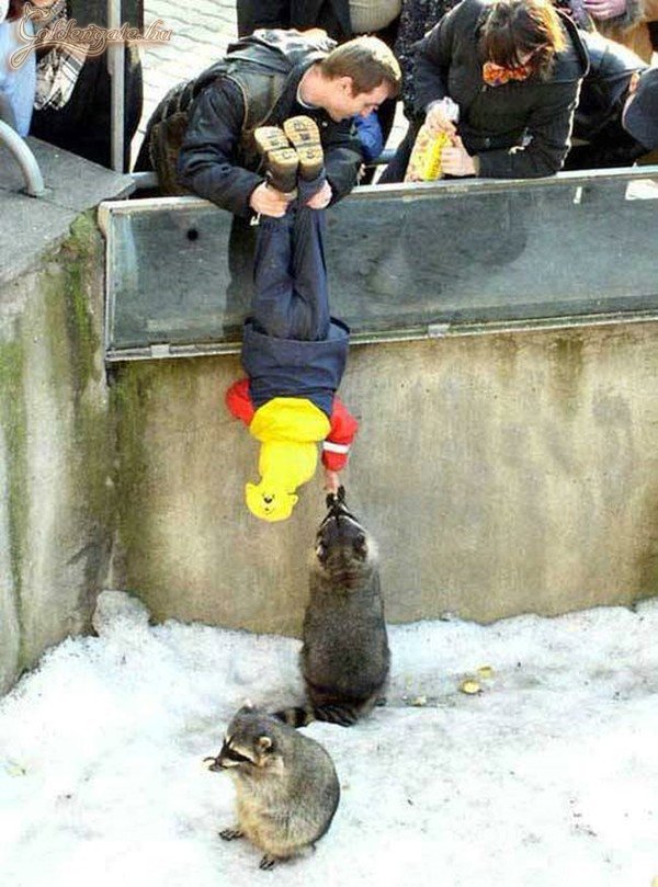 Kérjük ne etessék az állatokat!