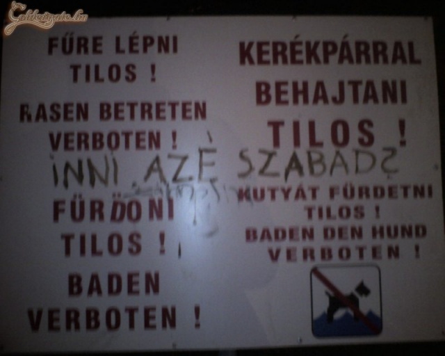 Azért azt csak szabad, nem? :)