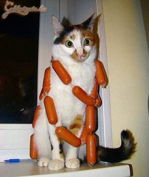 Őfelsége I. Cicmic