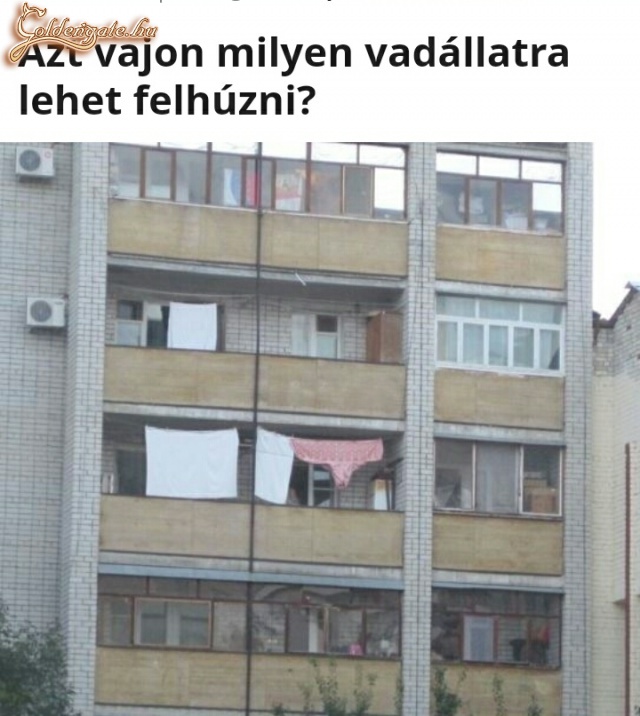 Azt vajon...