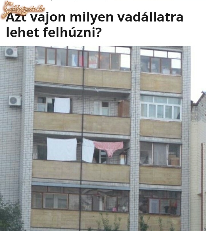 Azt vajon...