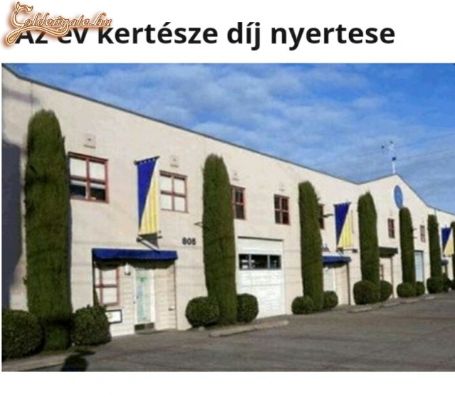 Fasza kertész