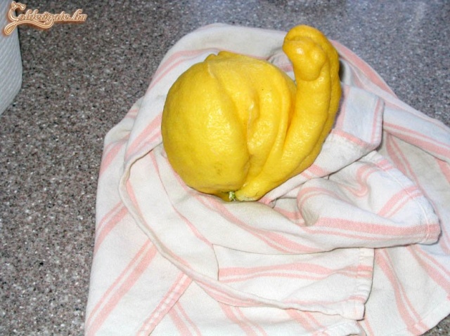 A természet csodái