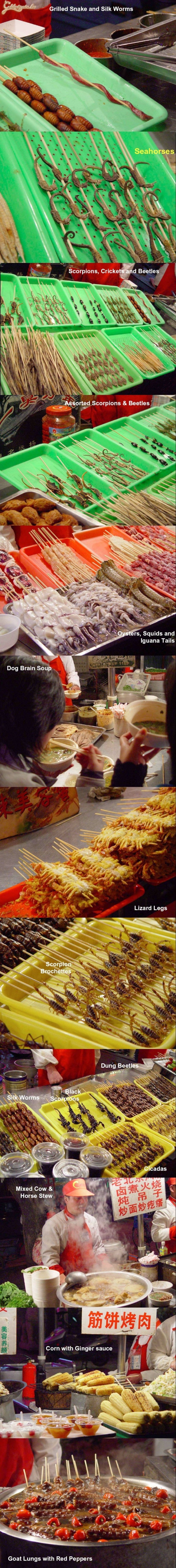 Egzotikus helyre mész? Ezeket ne hagyd ki! Grillezett lárva, kutya agy leves, ló ragu, ... :) (egy jó angolosnak hálásak lennénk, ha egy kommentben lefordítaná az egészet)