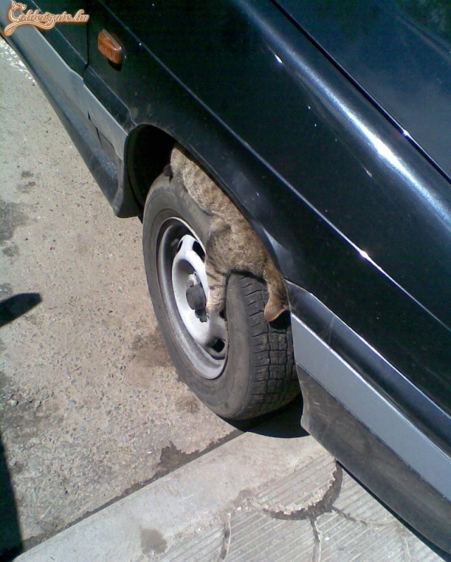 Meg fog lepődni, ha indul! :)