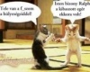 Cicák :)