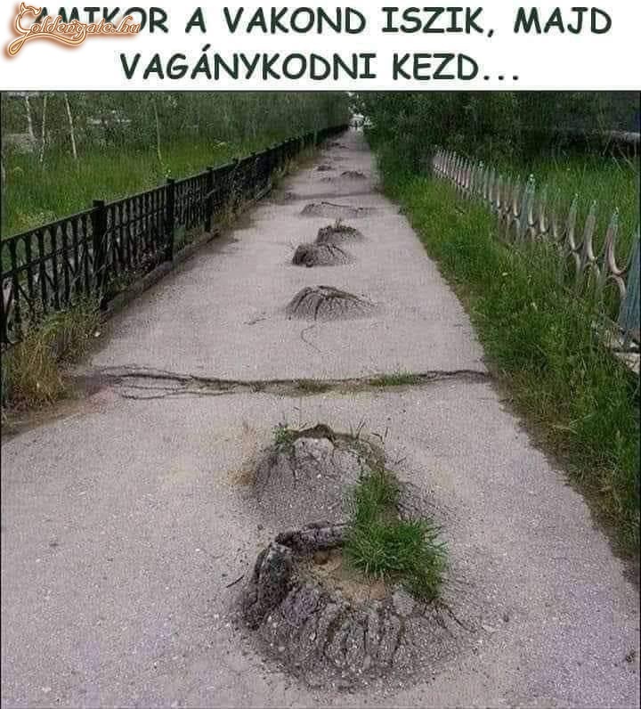 Vaganykodás