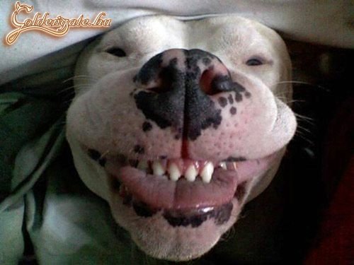 Hehehe!