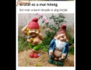 Ezt a meleget már ők sem bírják