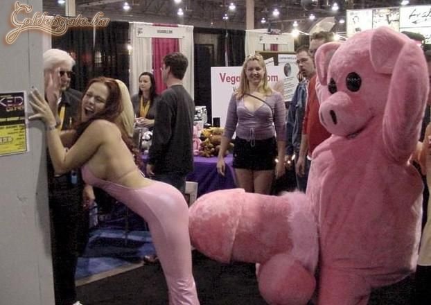 Kismalac nagy szerszámmal