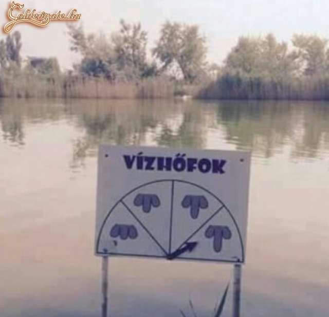 Vízhőfok mérő