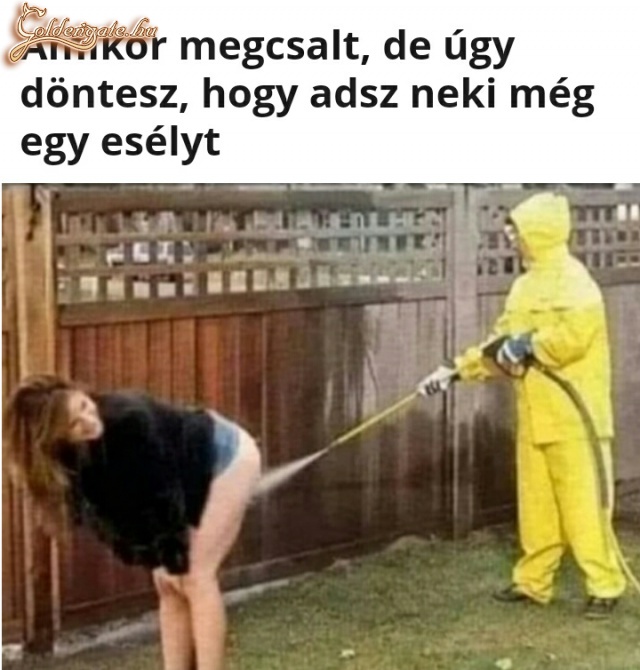 Alvázmosás