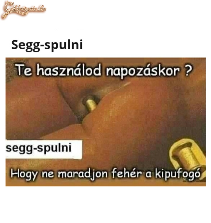 Segg spulni