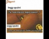 Segg spulni