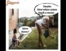 Kinyílt a rózsája