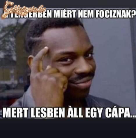 A cápa 