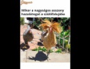:)