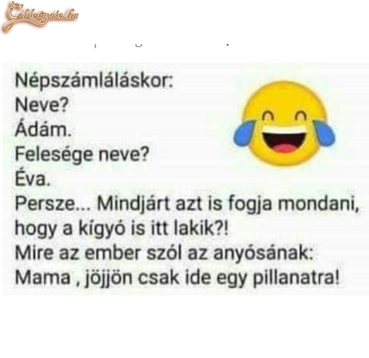 Népszámlálás