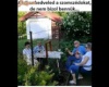Szomszédok 
