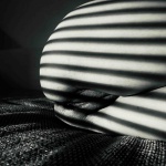 Árny-Játék - 8. kép