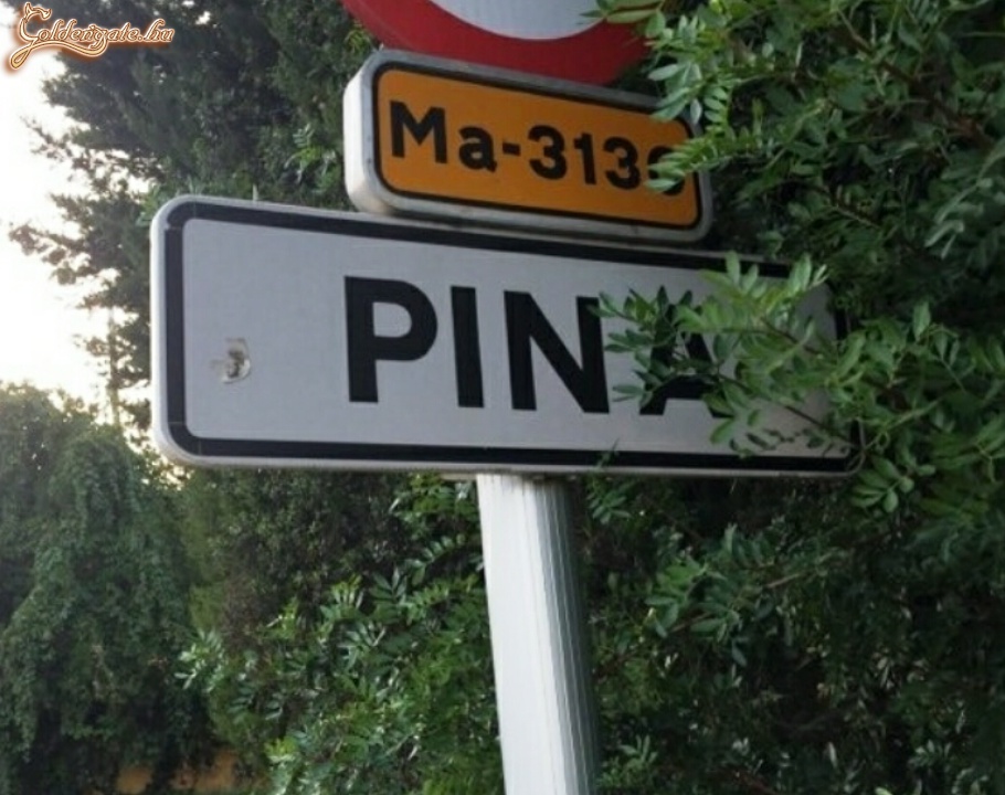 Ma 3130 Pina