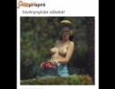 Napi apró
