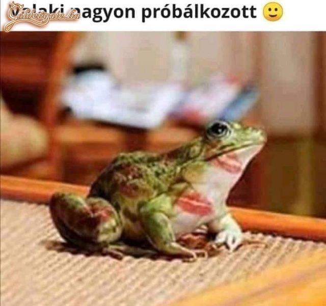 Valaki  nagyon próbálkozott