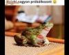 Valaki  nagyon próbálkozott