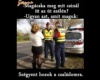 Szégyen 