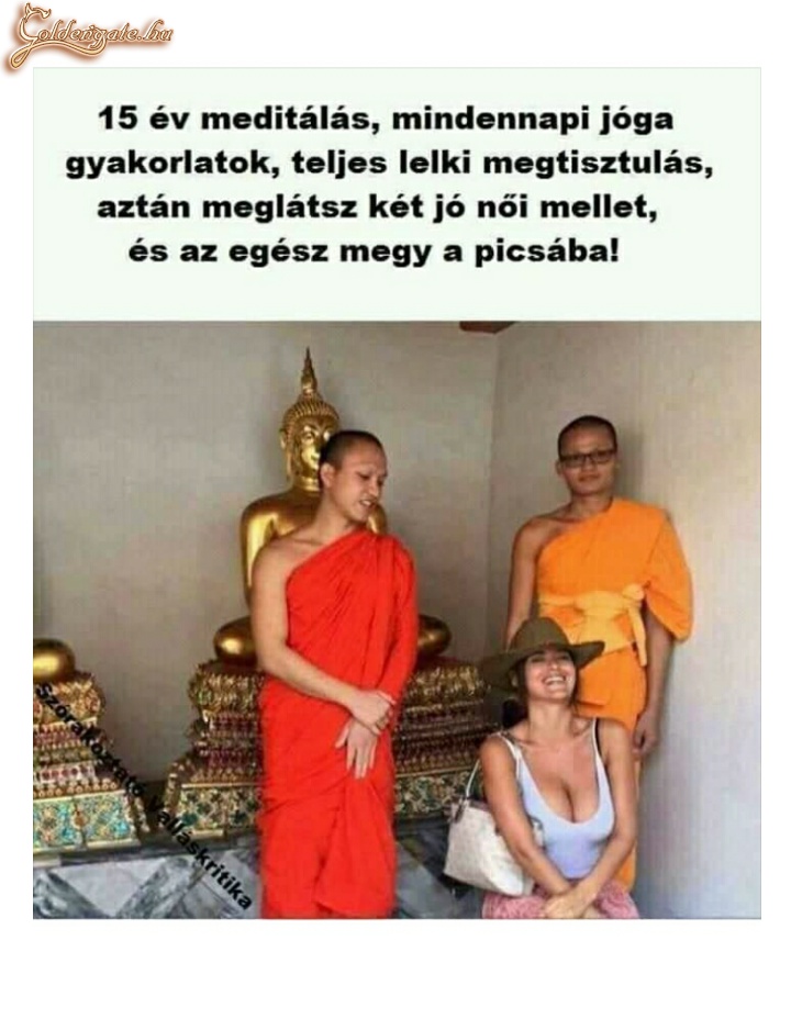 Jó mellek