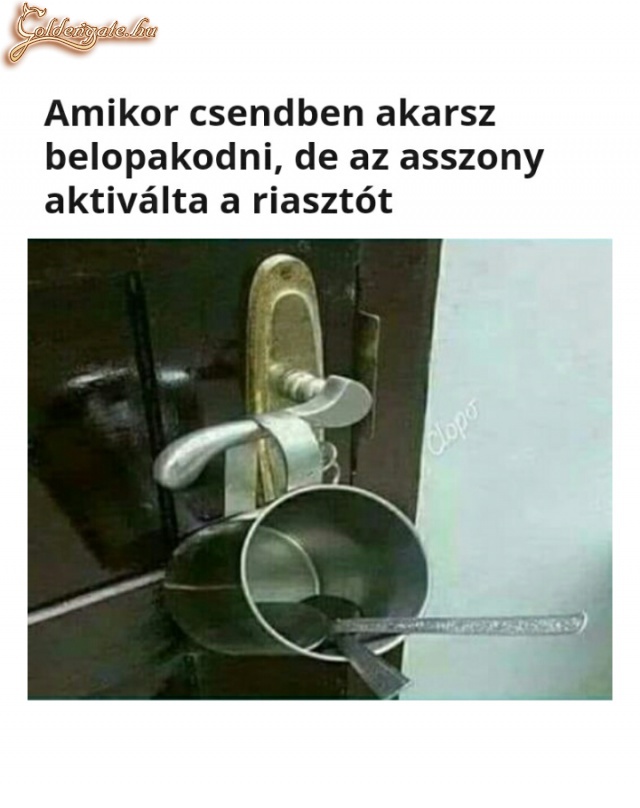 Házi riasztó