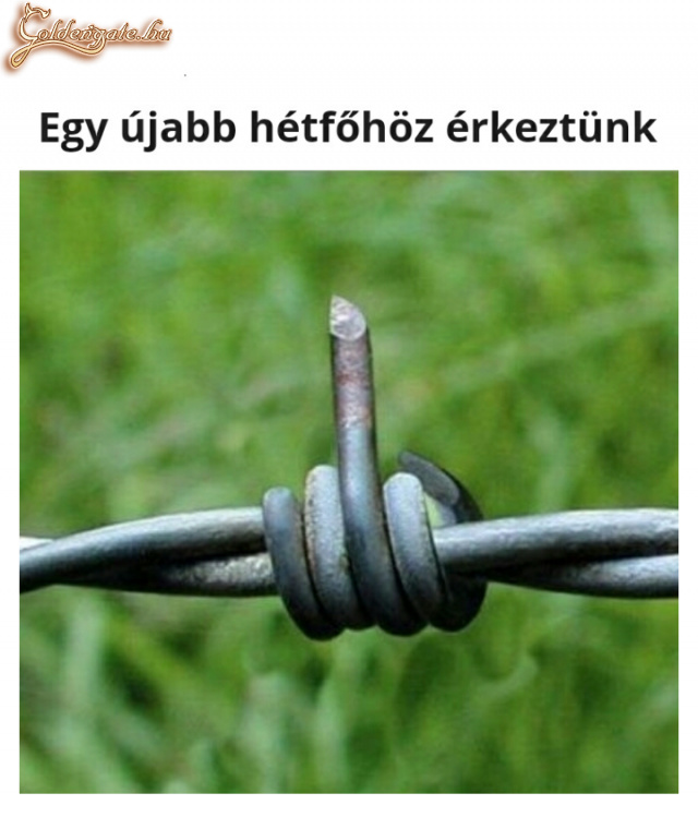 Hétfő